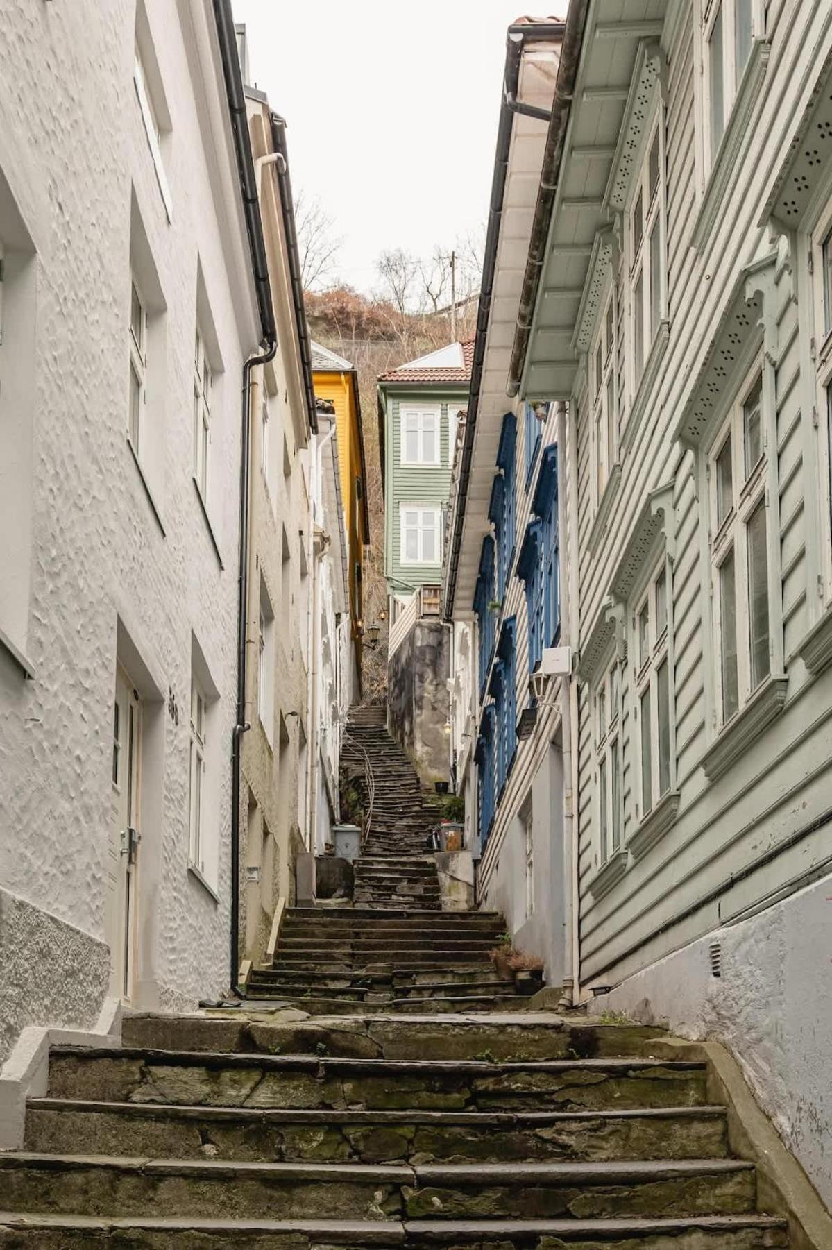 Dinbnb - Idyllic Location - 3 Bedroom *